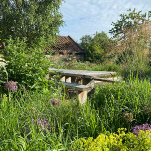 table surrounded by green grasses and purple aliums in sunshine