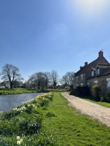 Sinnington village showing river and daffodils