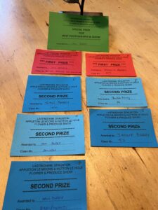 Green, red and blue cards showing winning categories at the show