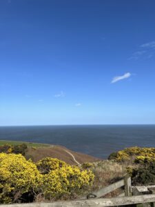 Picture of blue sea looking out over a cliff