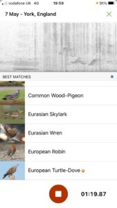 Merlin Bird app showing bird recording.