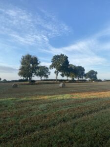 Fields with large hay bales and trees on skyline