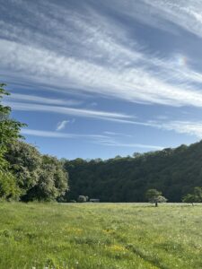 Green field in May with blue sky