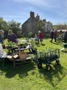 Village produce exchange with tables and a trolley full of plants