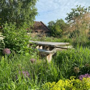 Oak table in garden in sunshine surrounded by grasses and purple aliums