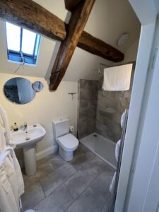 Ensuite with shower and roof light