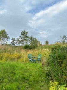 Two painted green iron garden chairs in a field with long grass