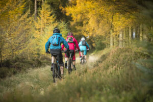 3 cyclists on mountain bikes cycling through forest