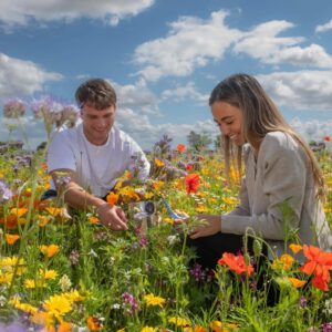 Yung man and woman sitting in a wid flower meadow