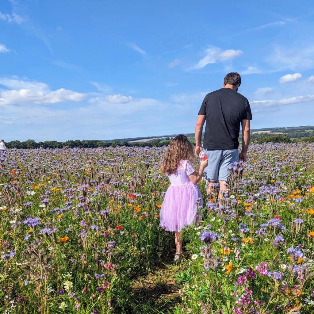 Man leading little girl in pink dress thorugh a field of colourful wild flowers. 