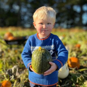 Litte boy in blue jumper holding a green pumpkin, standing in a pick your own pumkin field.