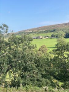 View over moorland to a house in the distance. 