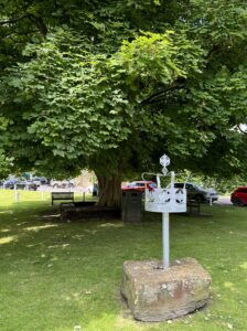 Crown sculpture in front of large tree on village green in Rosedale Abbey