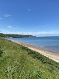 Sandy beach with blue sea behind and green grass on dunes in fore ground. 