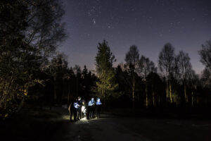 Group of people looking at map in dark wood 