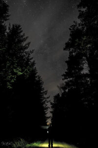 Night sky over man lit in forest clearing