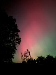 Red and Green Aurora in night sky above trees