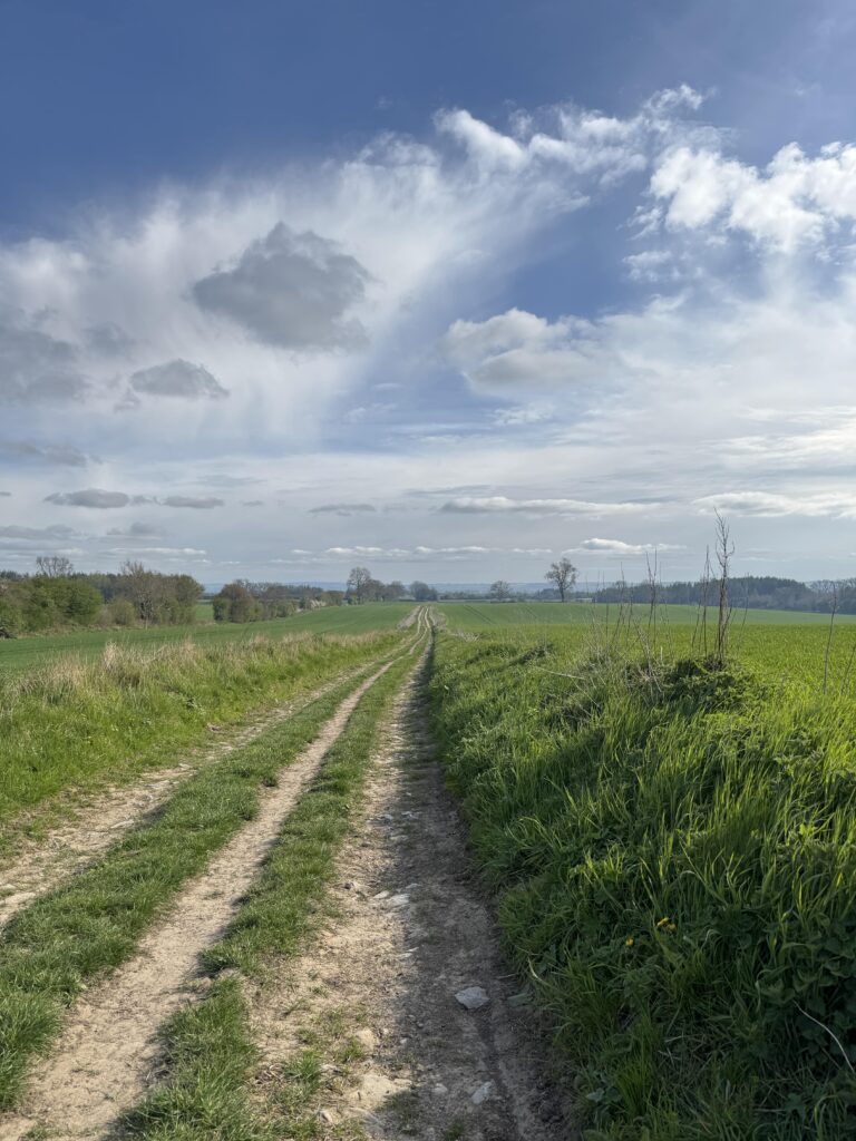 Track leading through green field into distance