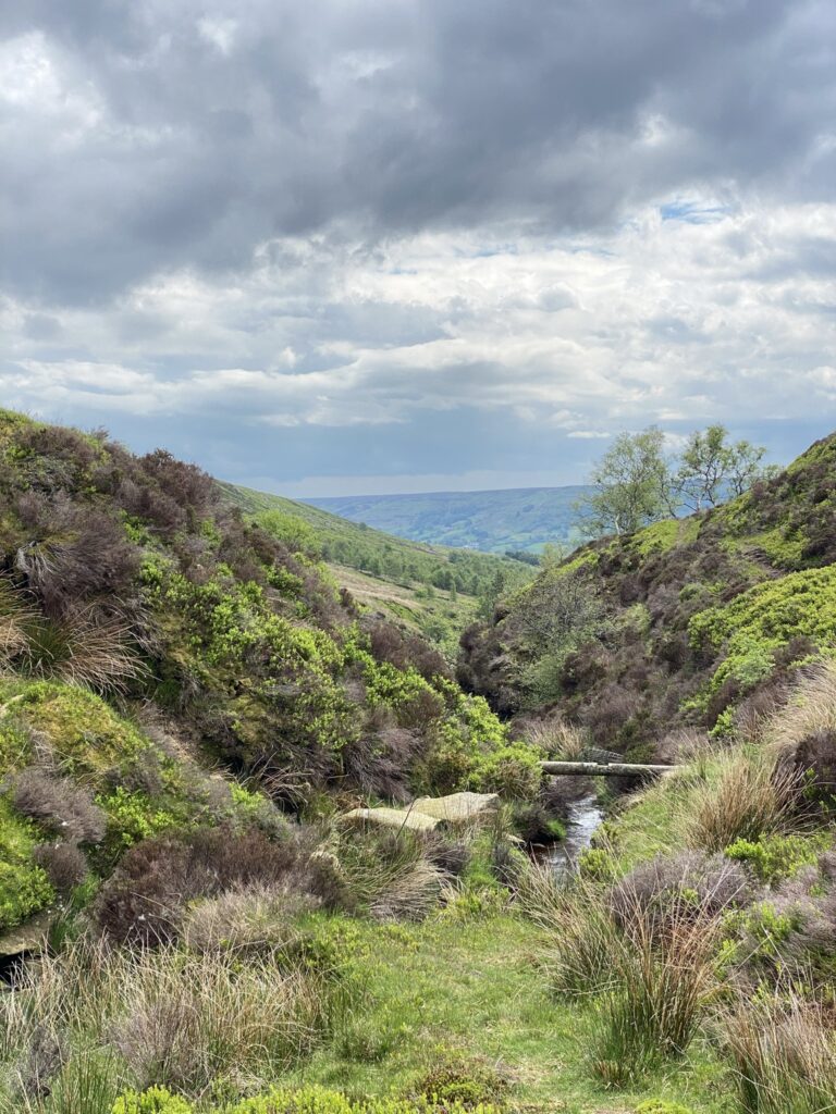 View down Northdale over a stream and down valley