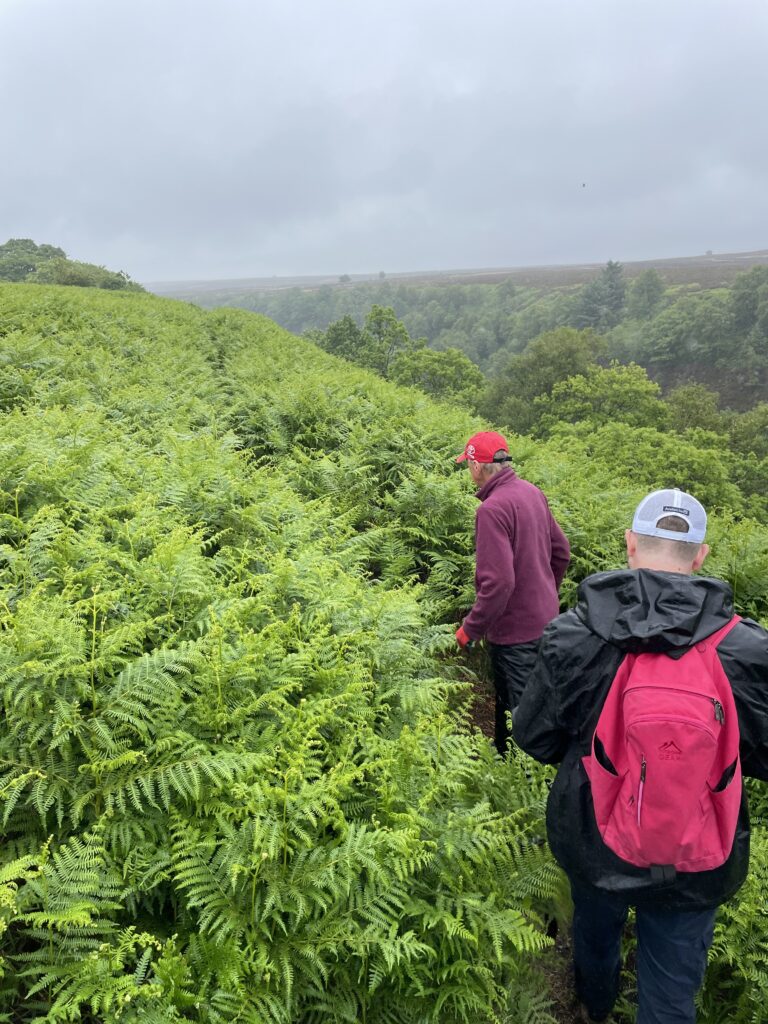 wo individuals, seen from behind, are walking through a dense field of green ferns on a cloudy day, with a valley and distant hills visible in the background. One person wears a red cap and maroon top, while the other has a white cap and a bright pink backpack.