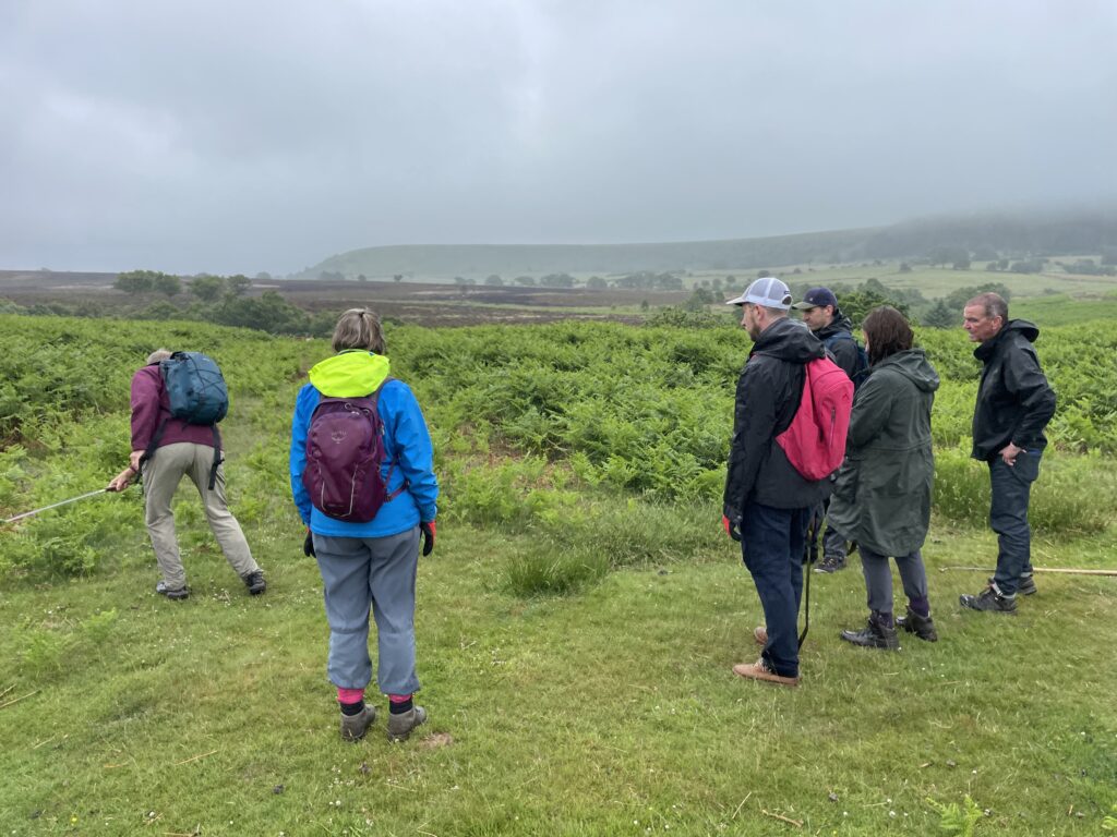 A group of six people in outdoor clothing are standing in a grassy area surrounded by bracken, with hills in the background under an overcast sky. One person on the left is actively engaged in what appears to be bracken bashing with a long tool.