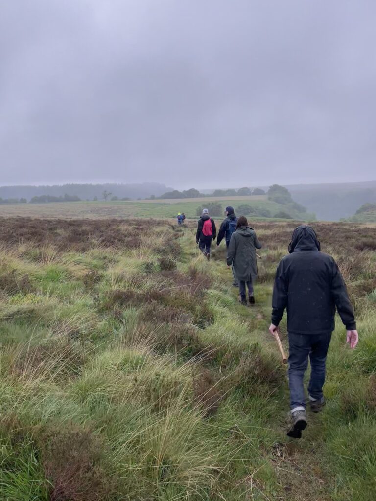 A group of people, dressed in outdoor gear, walk along a narrow, grassy path through a landscape of heather and tall grasses under an overcast sky.