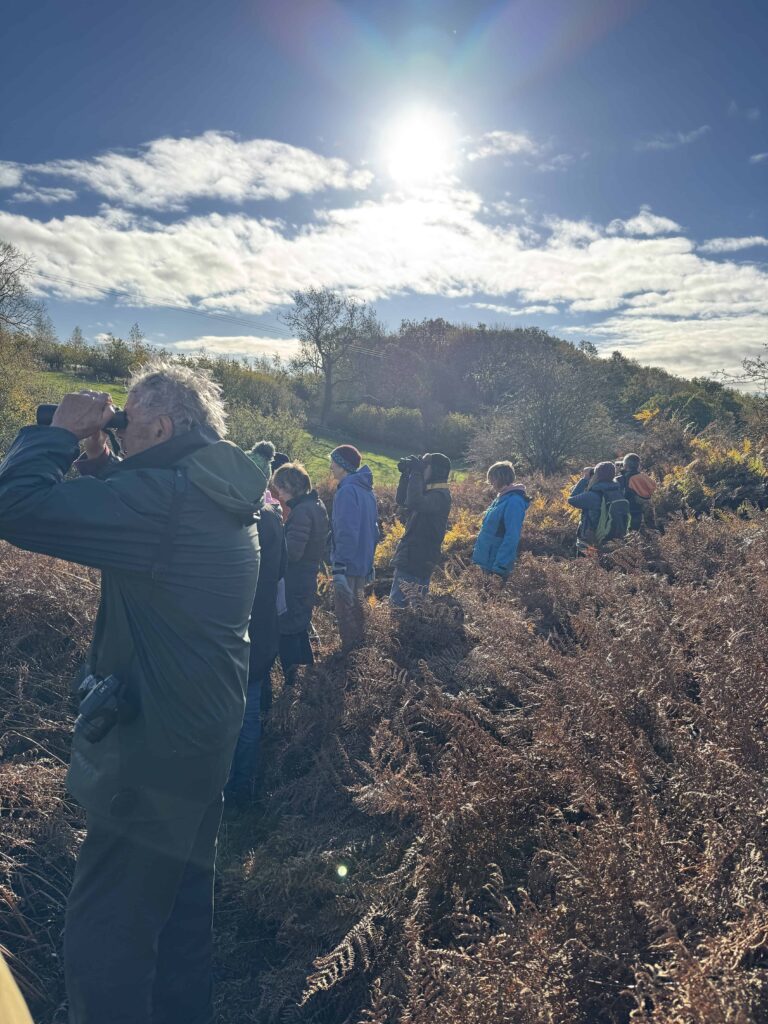 A group of people standing in a field of tall, dry brown ferns on a sunny hillside, with several individuals using binoculars to look toward the horizon
