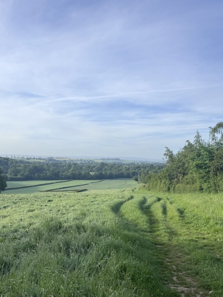 Views across fields and woodland on the circular walk between Appleton le Moors and Sinnington in the North York Moors Natioanal Park